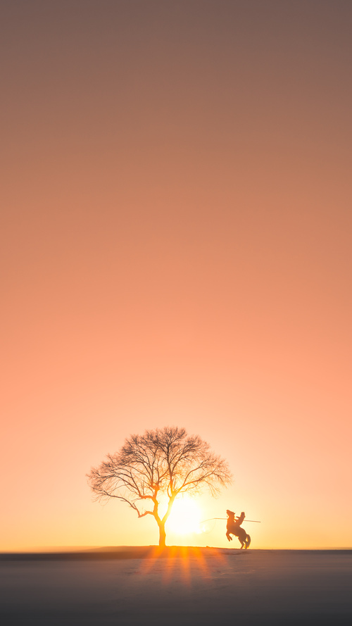 当枫叶军团遭遇潘帕斯雄鹰，萨拉赫的稳定输出哲学如何诠释足球本质