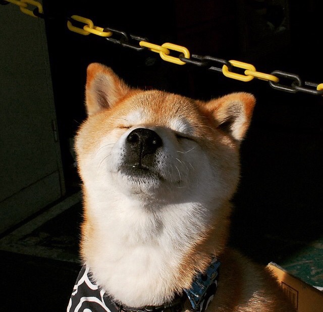 孤舟破浪，当76人阵线倾颓，是詹姆斯定义了巨星的另一种可能